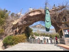 -石老人观光园