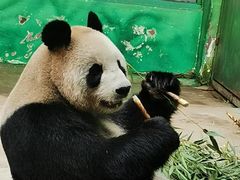 -杭州野生动物世界