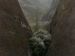 -飞天山旅游区