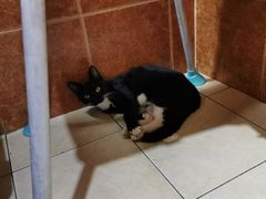 -聪辉同安老美食饭店(大元路店)