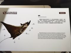 -生命奥秘博物馆