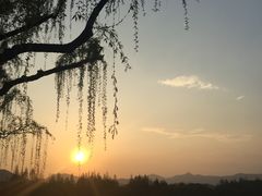 -西湖外事游船(花港观鱼码头)