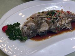 -东四民芳餐厅(世茂工三店)