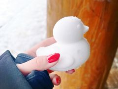 -密苑云顶乐园(云顶滑雪场)