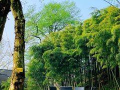 -莫干山风景区