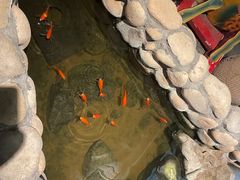 -馬蘭花開(车站大道店)
