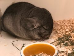 -龙猫仔乐园(惠福东路店)