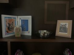 -翡翠森林宠物火化殡葬(通州店)