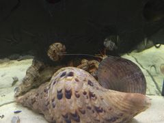 -欢乐海岸海洋奇梦馆