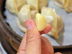 -马大刚白记包子