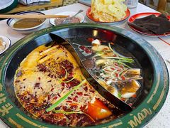 菌汤鸳鸯锅-有拈头成都市井火锅(南山总店)