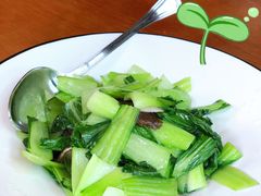 清炒青菜-浙江宾馆·花园餐厅·自助餐厅·茶吧