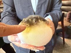 -永安鱼庄·镇江菜(东吴路店)