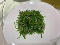-席家花园(巨鹿花园店)