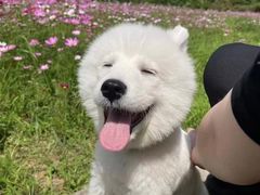 -佳雯宠物医院(金华南路分院)