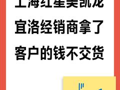 -红星美凯龙(上海沪南店)