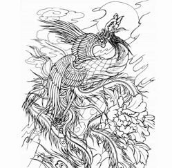 点击看大图 -针牛刺客·刺青纹身