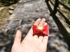 -三峡人家风景区