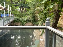 -丽泽山庄·生态怀柔菜·虹鳟鱼(红螺寺店)