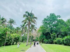 -中国科学院西双版纳热带植物园