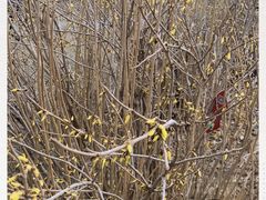 -长春公园(普阳街道)