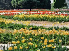-石家庄市植物园