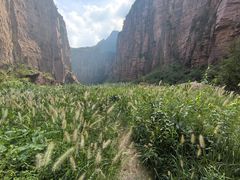 -太行锡崖沟旅游度假区
