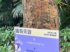 -华侨城创意文化园