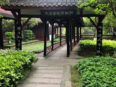 -桂湖森林公园