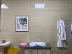 -北京观赏动物医院·24小时大型综合·猫专科·异宠专科