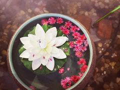 -巴渝瓦肆重庆鲜火锅(宝龙环湖店)