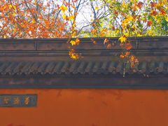 -灵谷景区