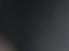 -赵记煎饼卷大葱(东岳店)