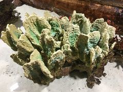 -开元溶洞