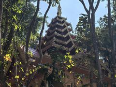 -西双版纳勐泐文化旅游区