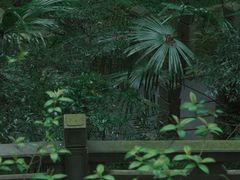 -都江堰景区