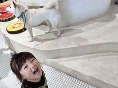 -柴务处·柴犬主题狗咖