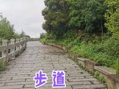 -北岐滩涂