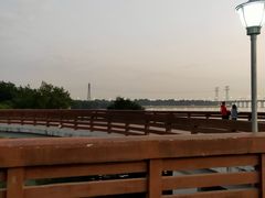 -宝安西湾红树林湿地公园