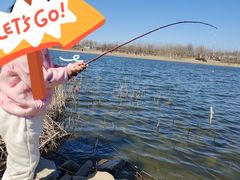 -天津东丽湖风景区