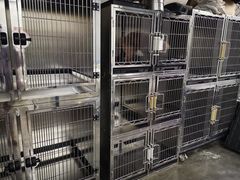 -PETKIT 小佩宠物·低压洗护·美容·寄养(安远店)