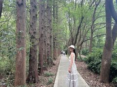 -同里国家湿地公园