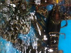 -87号烧烤海鲜·大排档(金沙滩店)