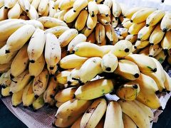 -港华水果街(港华广场店)