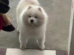 -星巴克(上海虹桥站2A检票口)