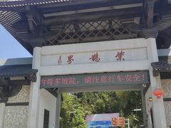 -紫鹊界梯田景区