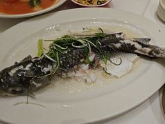 -稻香酒家·35年老字号(侨光店)