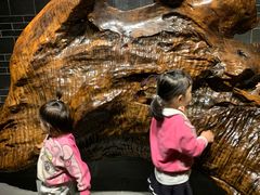 -乐山乌木文化博览苑