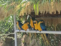 -西霞口神雕山野生动物世界