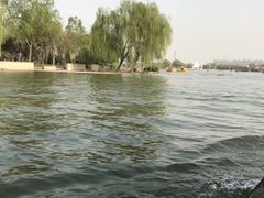 -石家庄市植物园